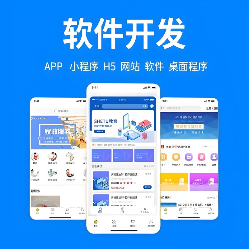 上海软件开发：行业动态与发展趋势